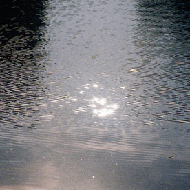 JAEYEON CHO 的个人资料