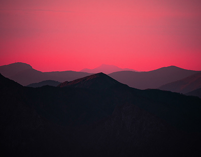 项目缩略图 - ANCIENT GIANTS