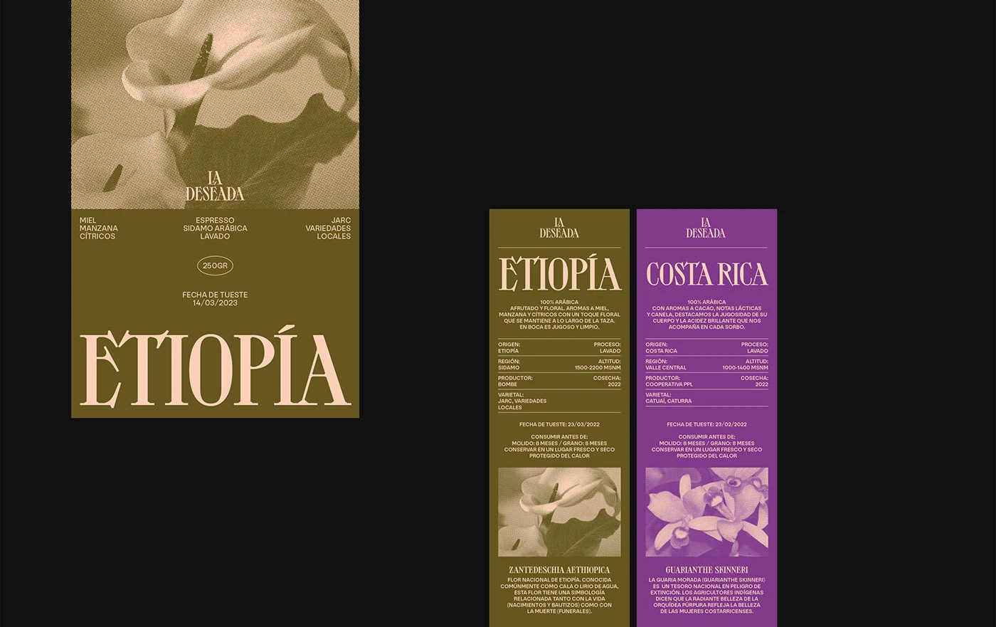 brand identity coffee shop bakery visual identity menu design Restaurant Branding Logo Design Packaging graphic design  Flowers