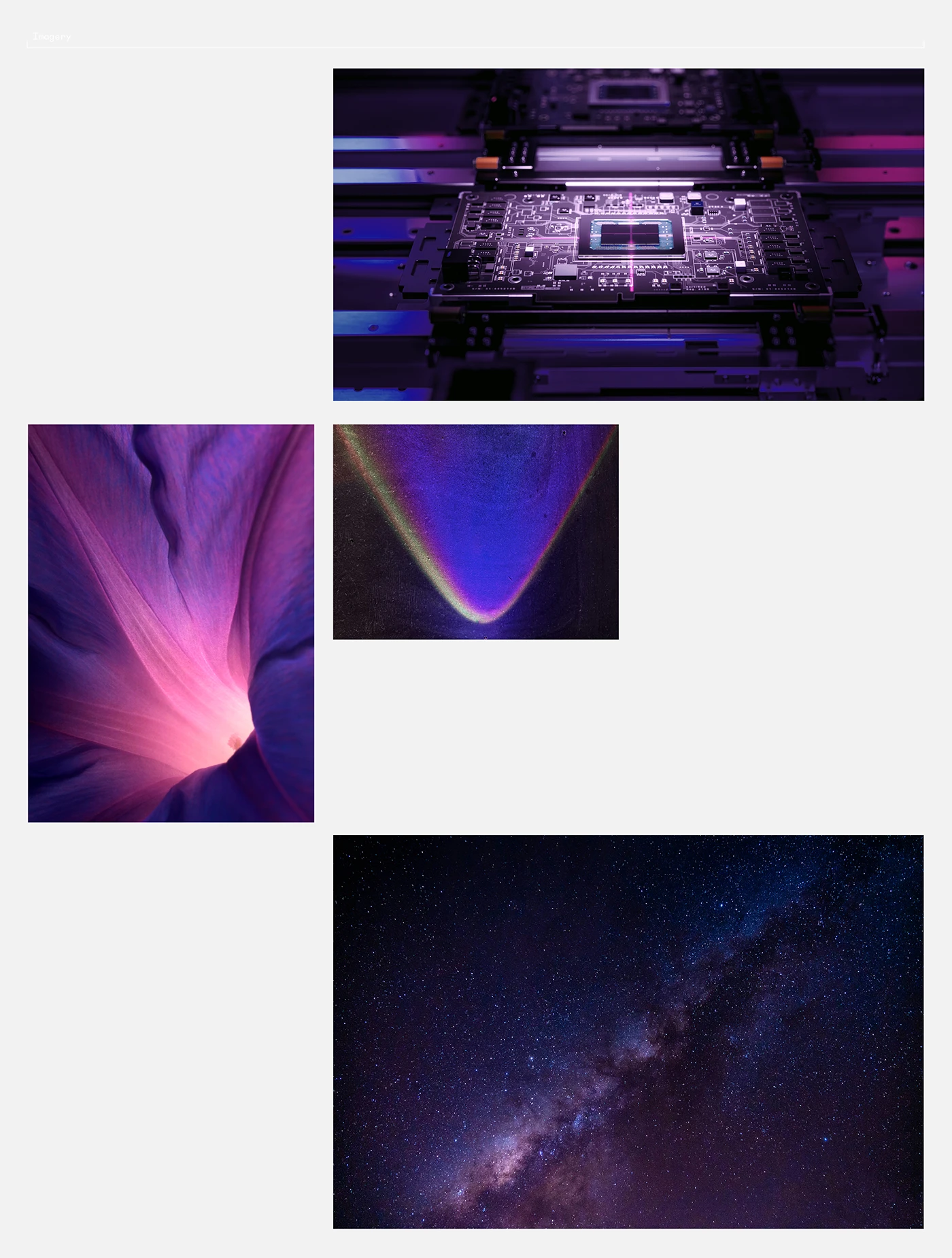 brand identity branding  Brand Design visual identity identity graphic design  Logo Design logo design Advertising 