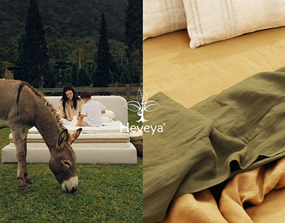 项目缩略图 - HEVEYA