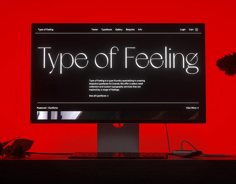 项目缩略图 - Type of Feeling